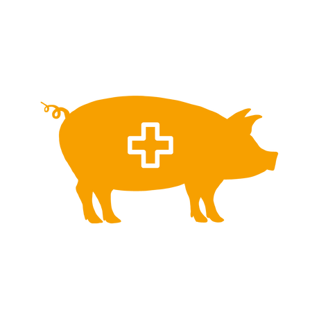 Gesundheit & Hygieneprodukte für Schweinehaltung