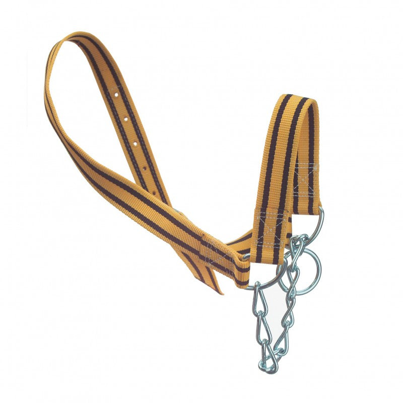 Kuhhalfter mit Kinnkette 