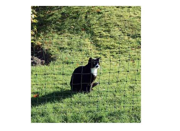 Euro-Netz für Katzen 75/1 grün 25m