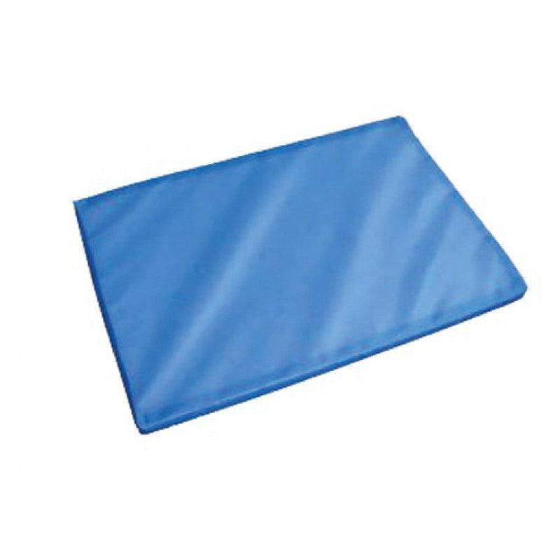 Desinfektionsmatte 90x60x4 cm 