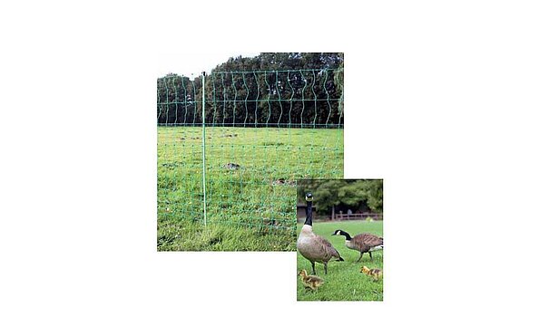 Euro-Netz Geflügel 112/1 grün 50m - stromlos