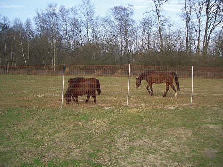 Euro-Netz Mustang 145/2 50m mit engen Maschen