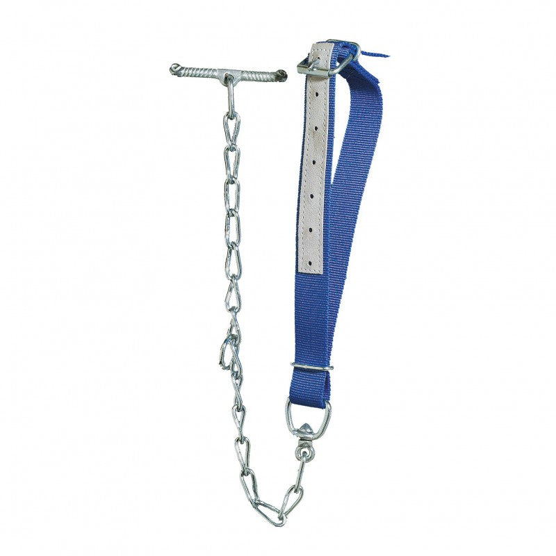 Kälberhalsband blau mit Kette 