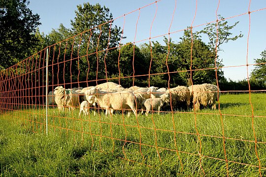 Euro-Netz Wolfsnetz JUMBO 90/2 Wildverbiss