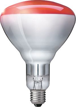 Infrarotbirnen 150 Watt Philips 