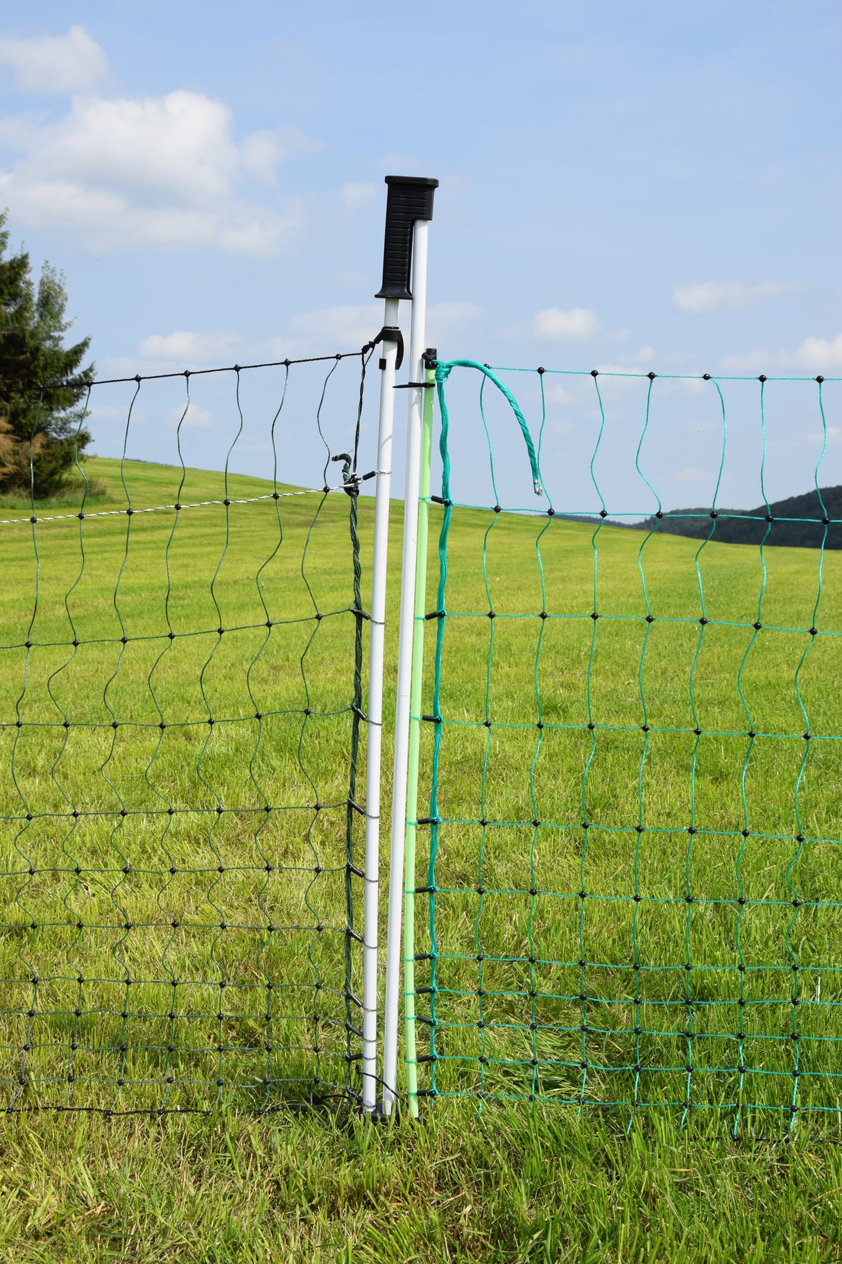 Euro-Netz Tor Jumbo 112/2 - 3,0 m breit