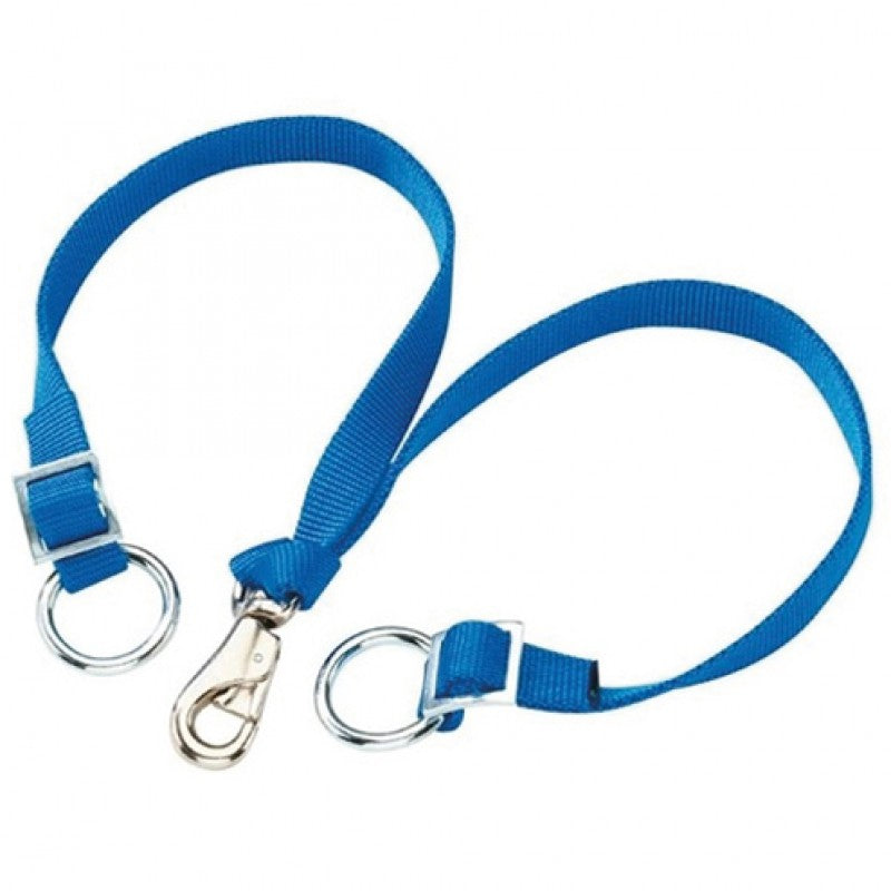 Bodenriemen mit Ring zu 60151